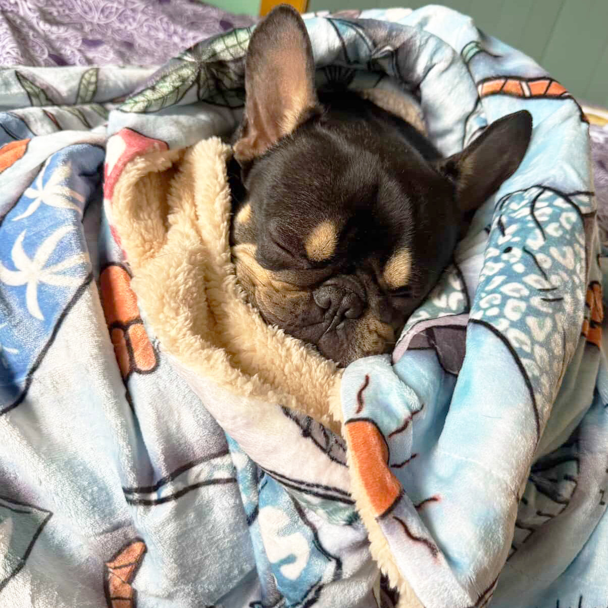 Surfs Up - Extra Soft Pet Blanket