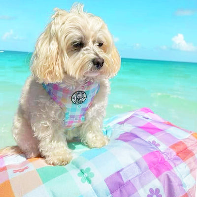 Gingham Wonderland - Adjustable Harness