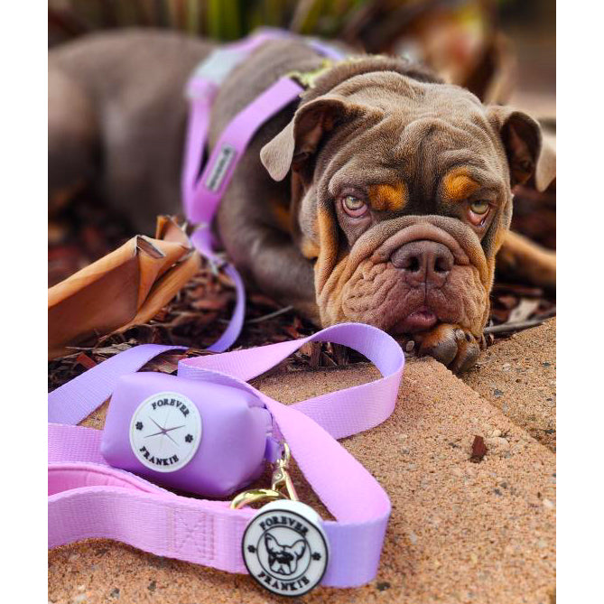 Pastel Pink / Lavender - Luxe Strap Harness