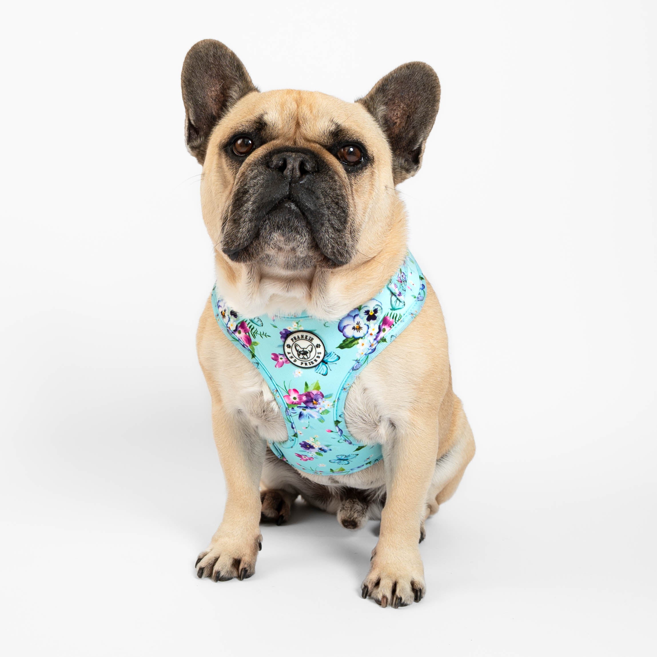 Spring Butterfly - Adjustable Harness - End Of Line