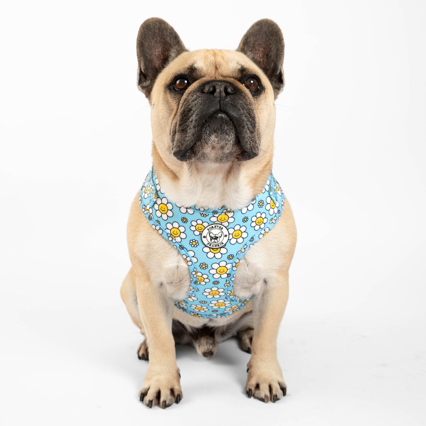 Happy Days - Adjustable Harness