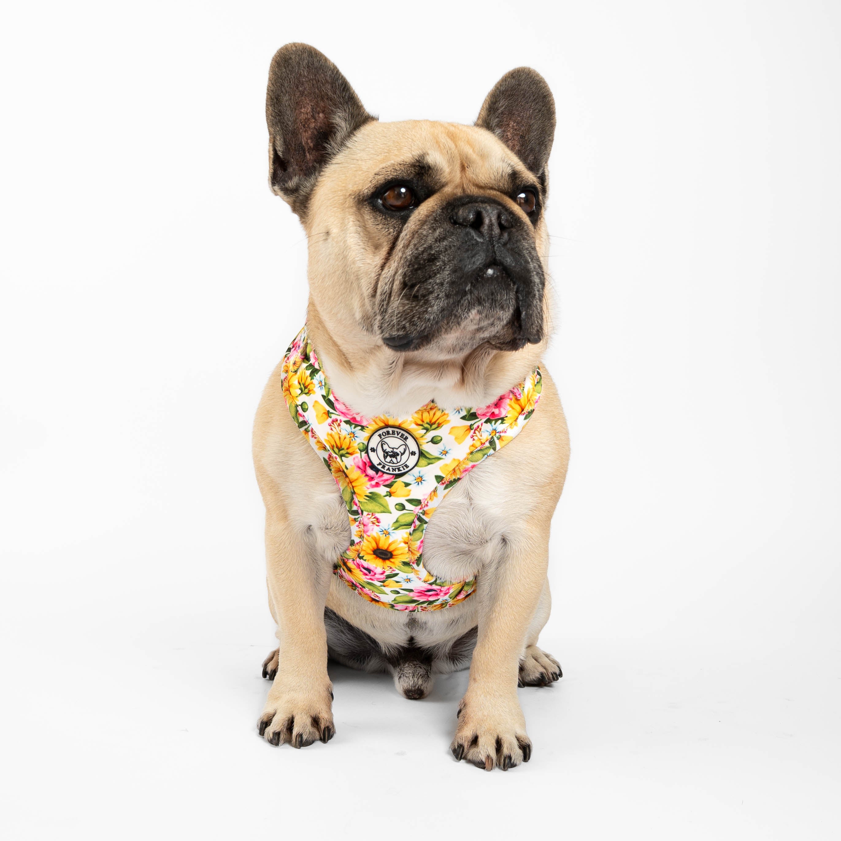 Heavenly Sunflower - Adjustable Harness