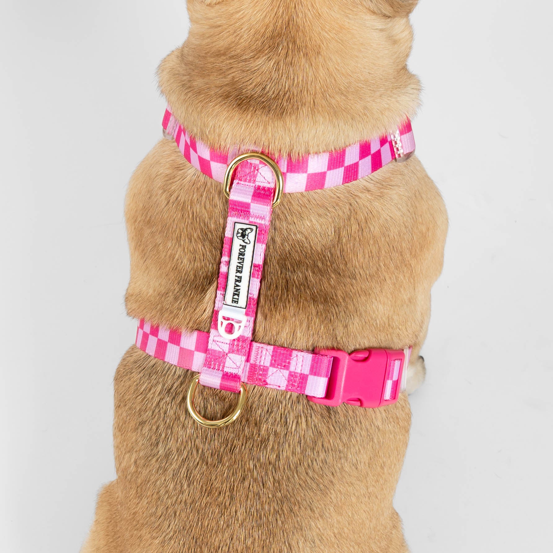 Pink Lemonade Check - Luxe Strap Harness