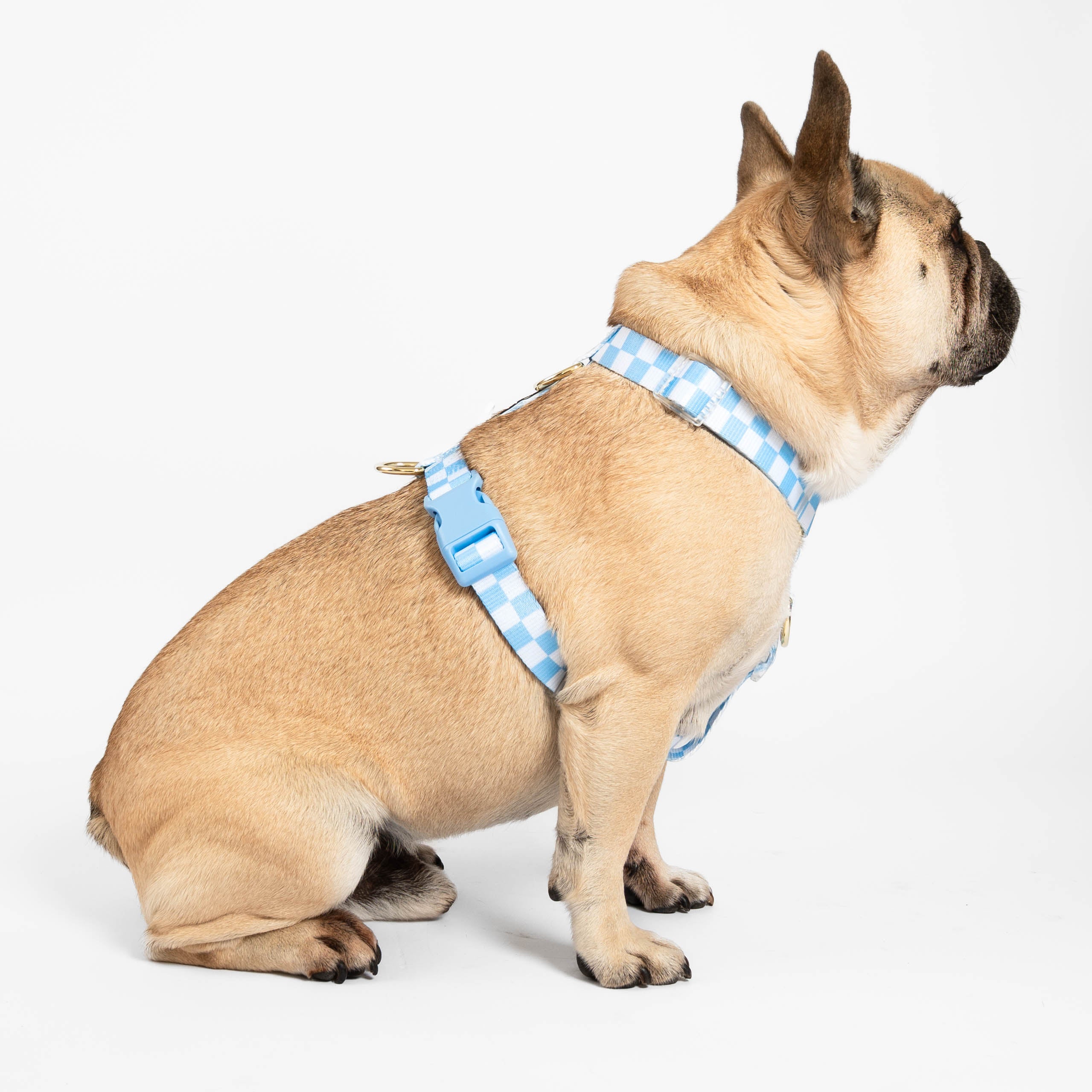 Sky Blue Check - Luxe Strap Harness
