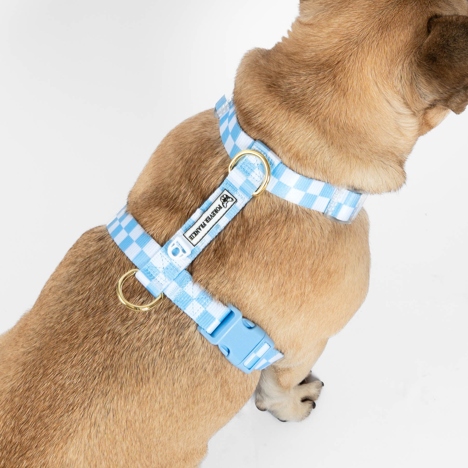 Sky Blue Check - Luxe Strap Harness