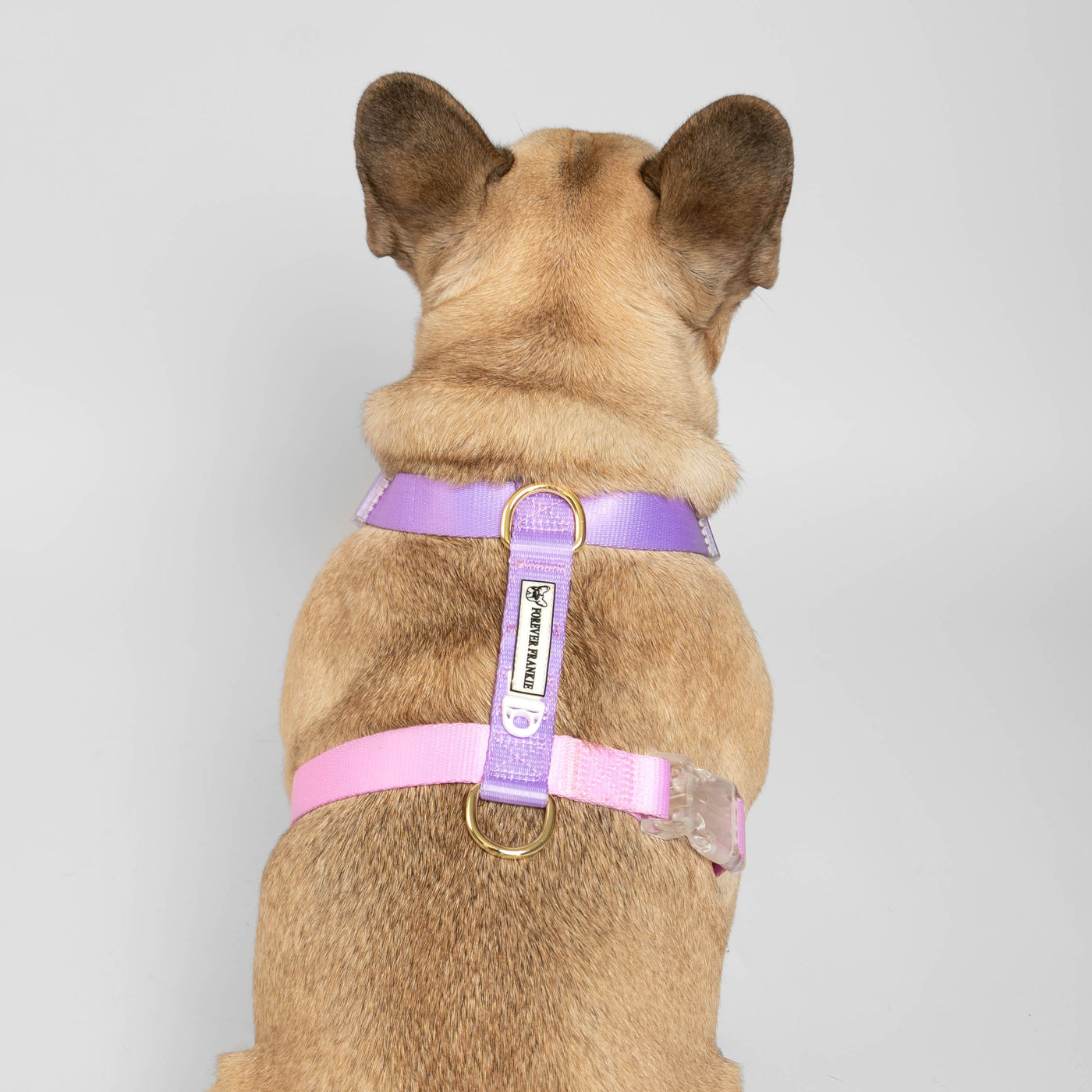 Pastel Pink / Lavender - Luxe Strap Harness