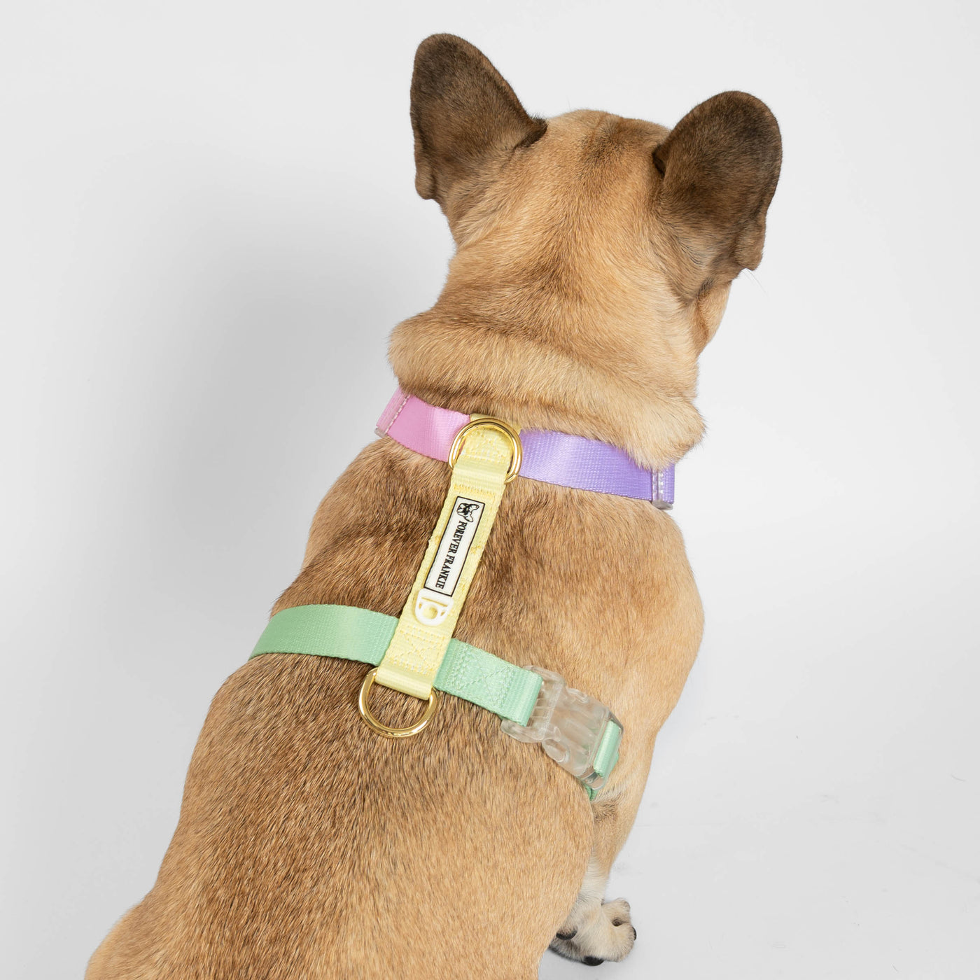 Pastel Rainbow - Luxe Strap Harness