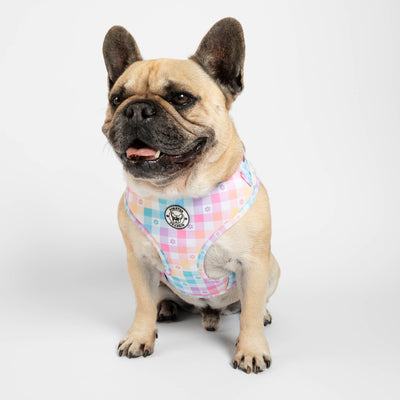 Gingham Wonderland - Adjustable Harness