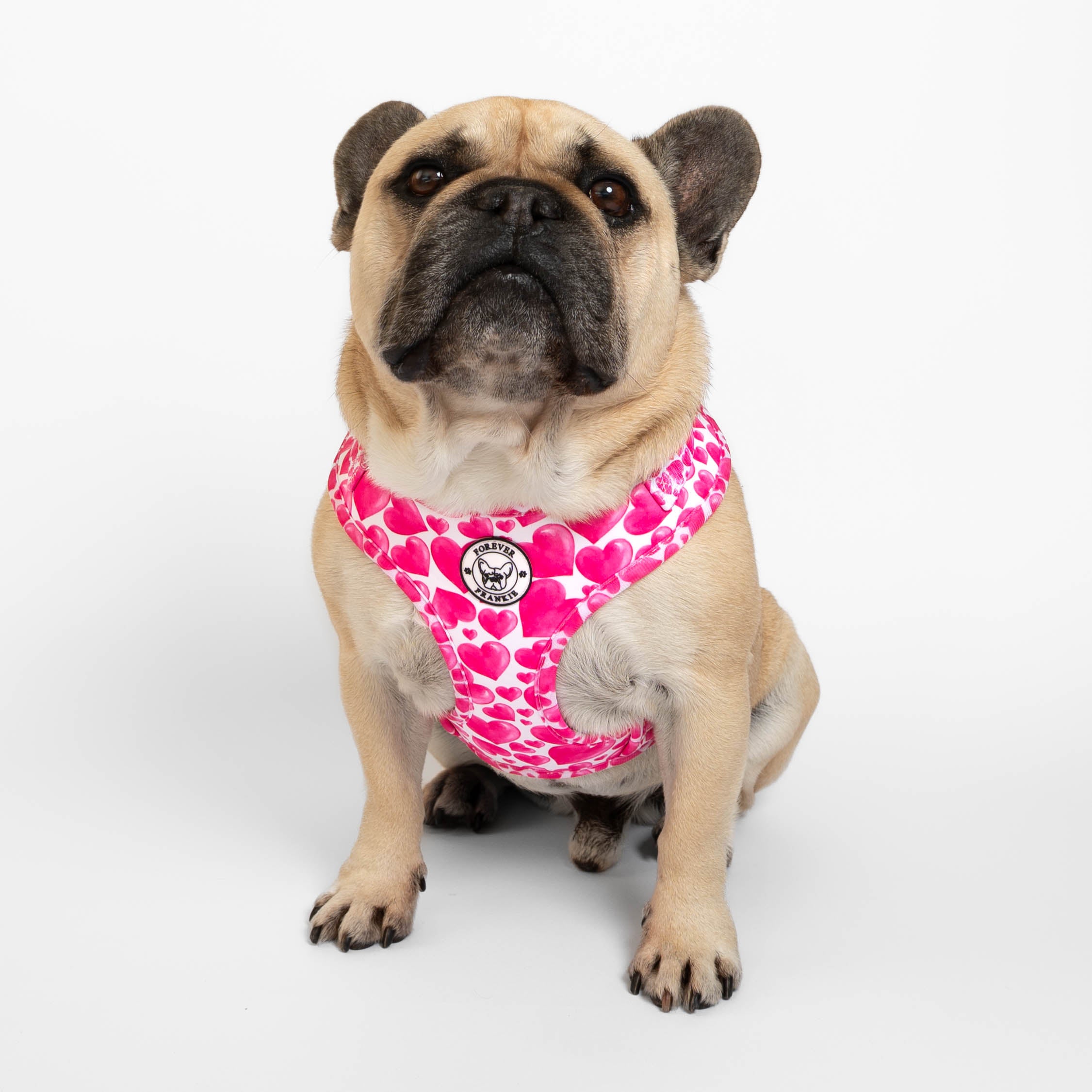 Sweethearts - Adjustable Harness