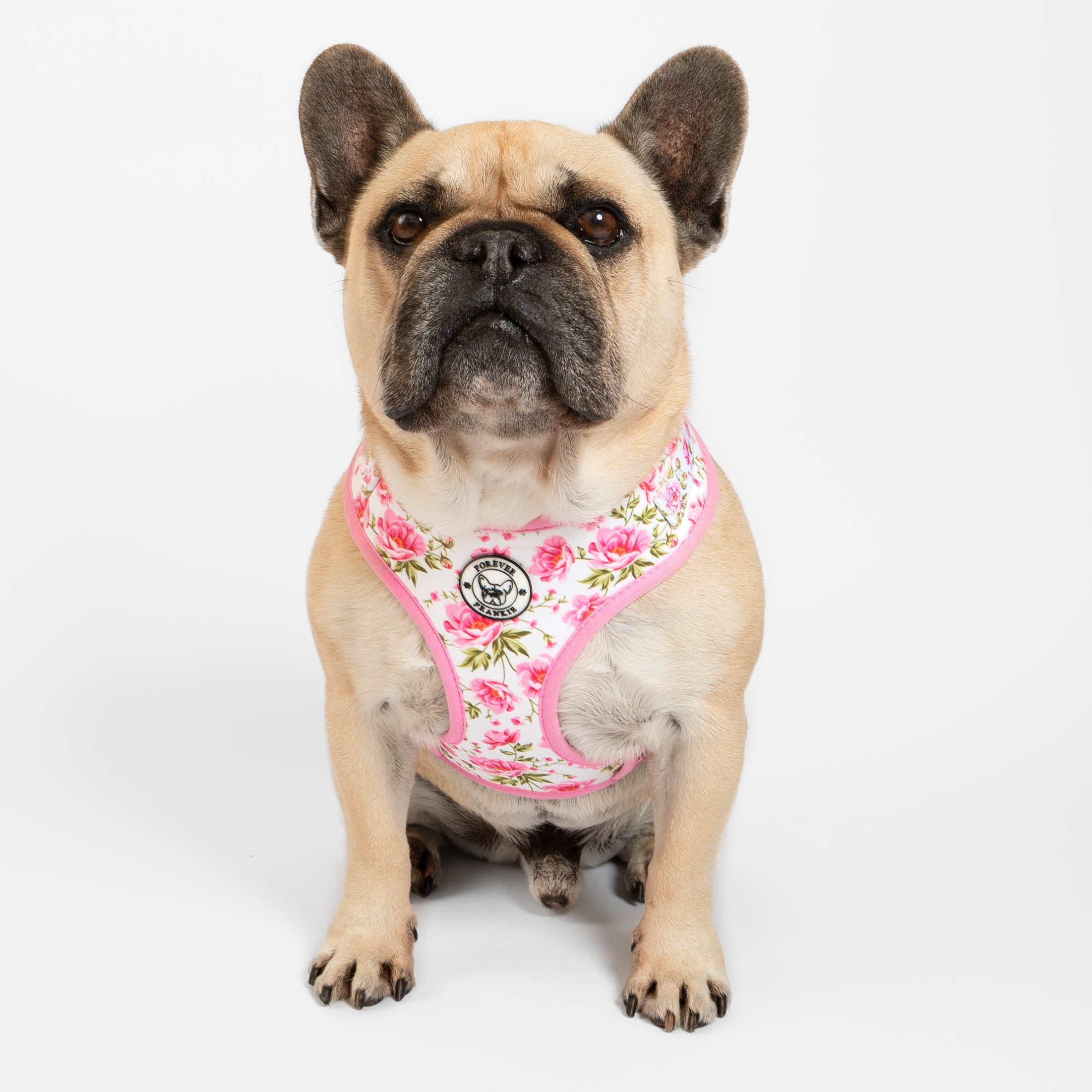 Peony Blooms - Adjustable Harness