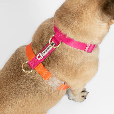 Sunset - Luxe Strap Harness