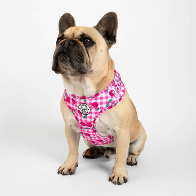 Cherry Delight - Adjustable Harness