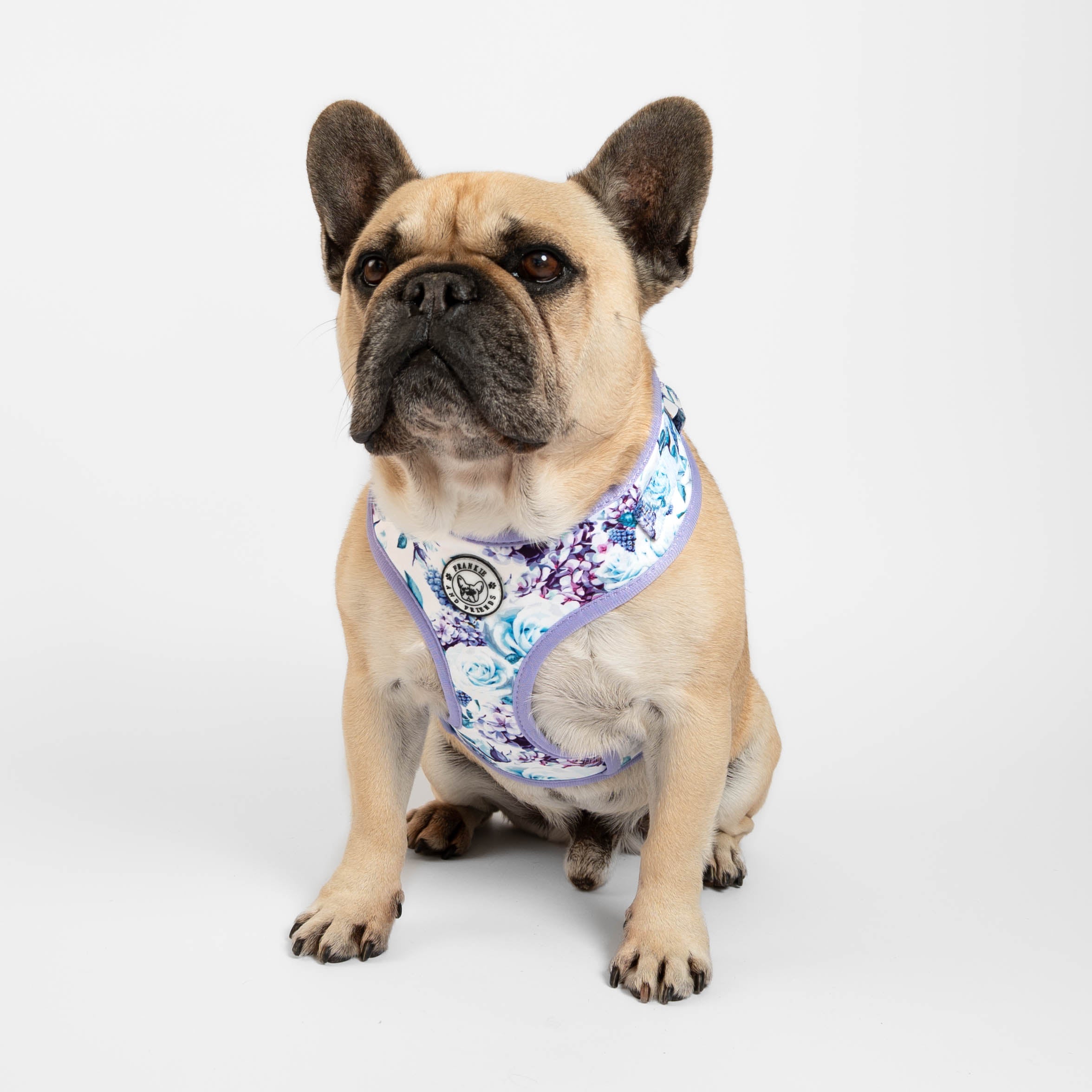 Purple Floral - Adjustable Harness - End of Line