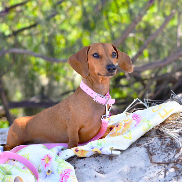 Summer Fling - Beach & Bath Towel - End of Line