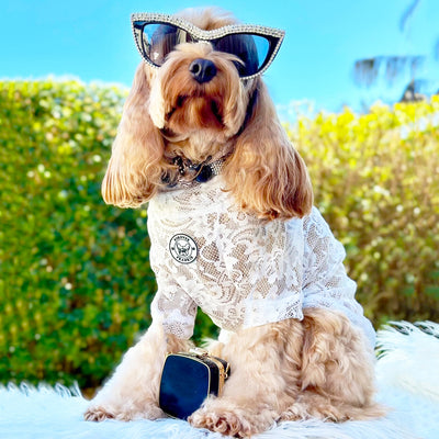 White Lace - Luxe Dog Skivvy