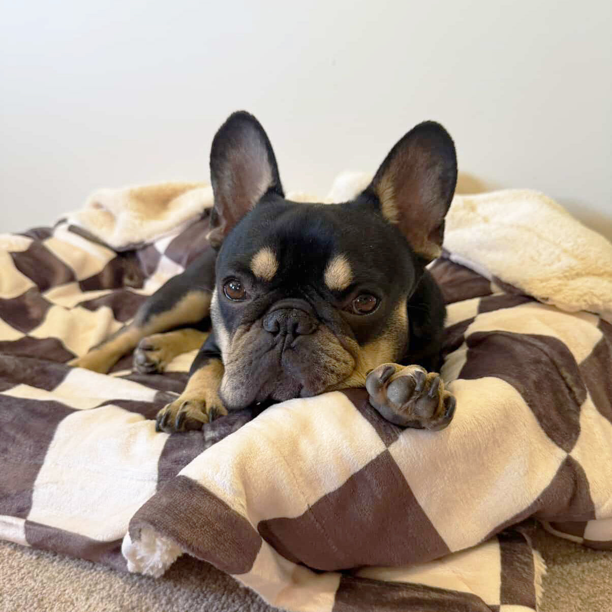 Cocoa Check - Extra Soft Pet Blanket