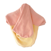 Caramel & Terracotta Dog Hoodie