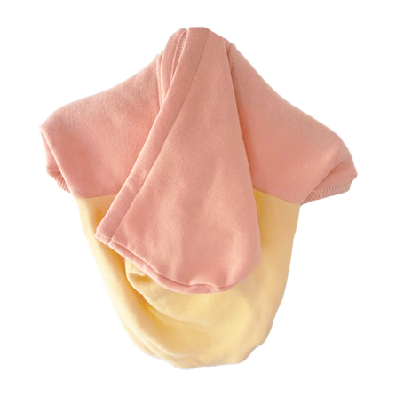 Caramel & Terracotta Dog Hoodie