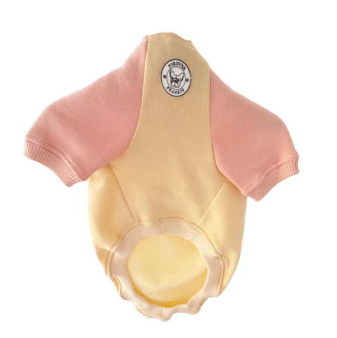 Caramel & Terracotta Dog Hoodie