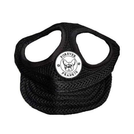 Mesh Dog Cap - Black
