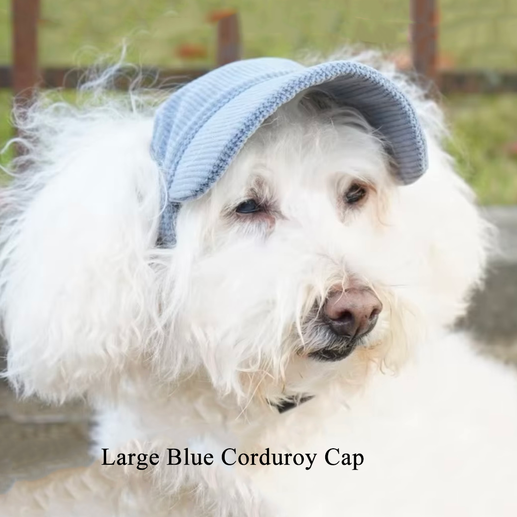Corduroy Dog Cap - Blue