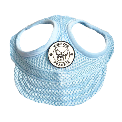 Mesh Dog Cap - Blue