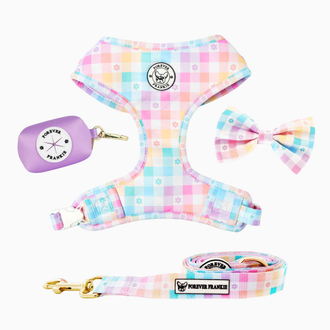 Gingham Wonderland Walk Bundle