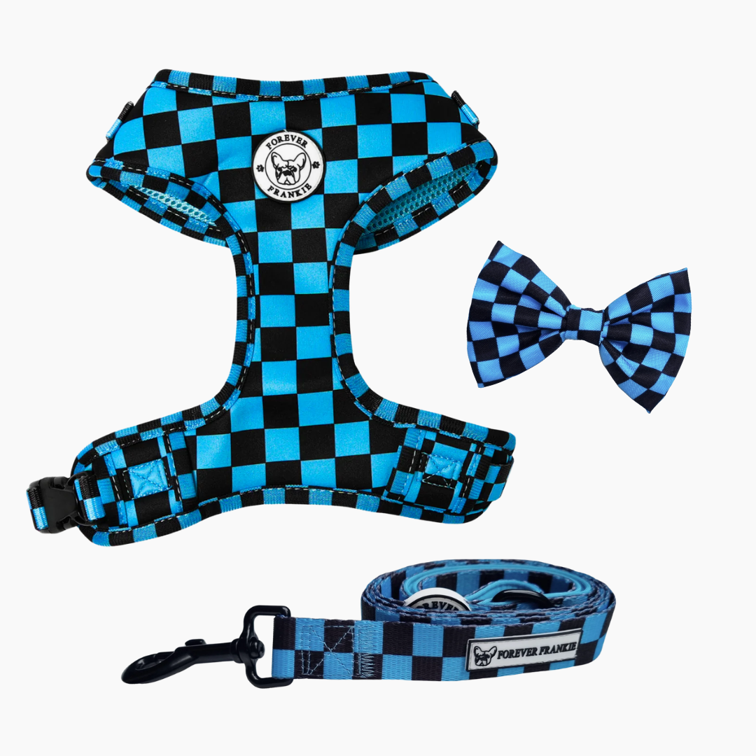 Blue Checker Walk Bundle