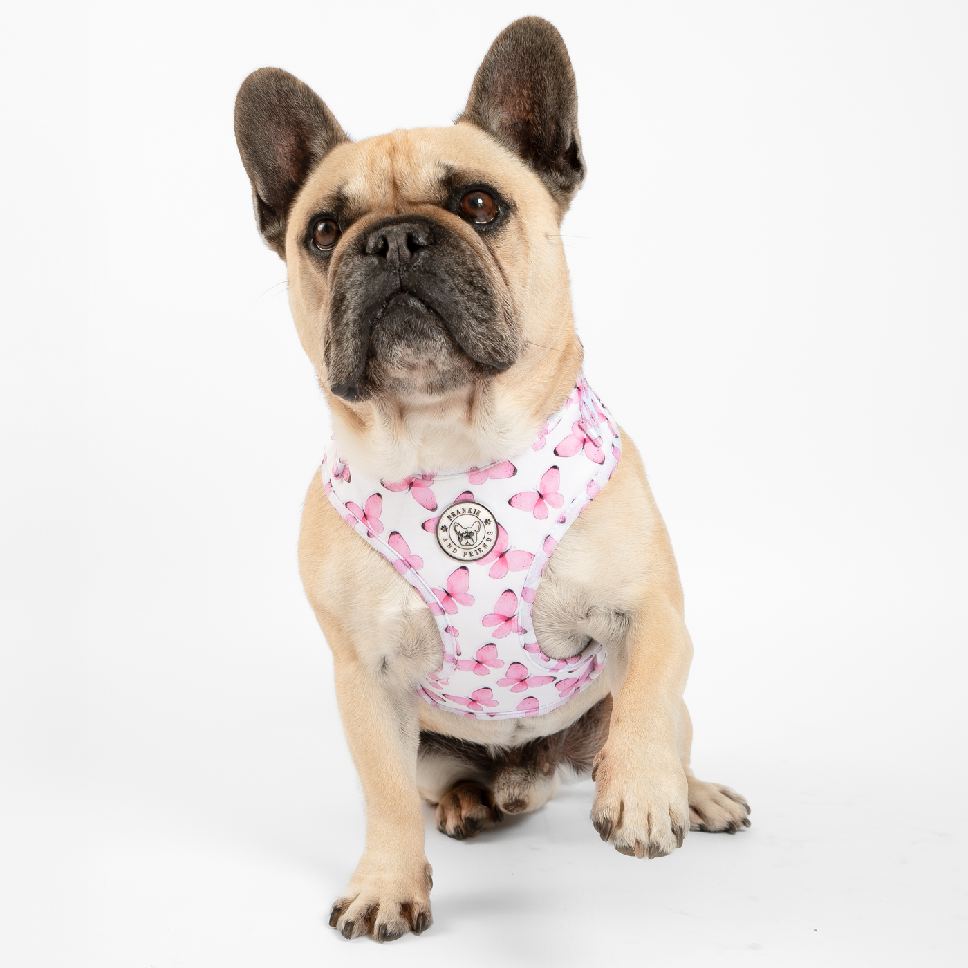 Butterfly Kisses - Adjustable Harness