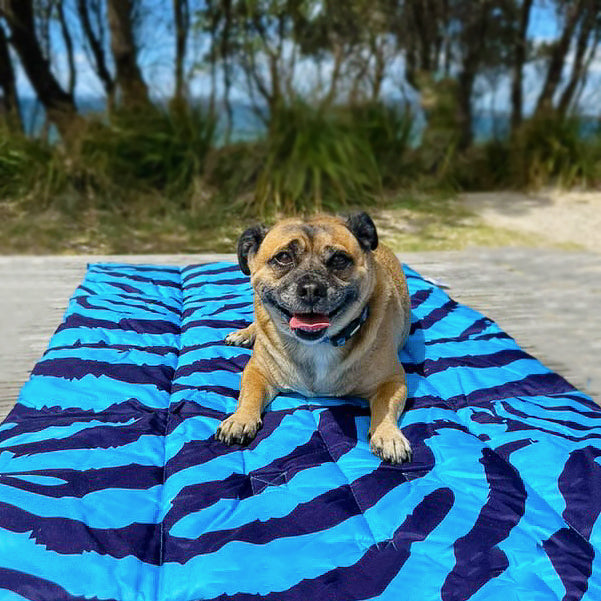 Safari Blues - Adventure Mat