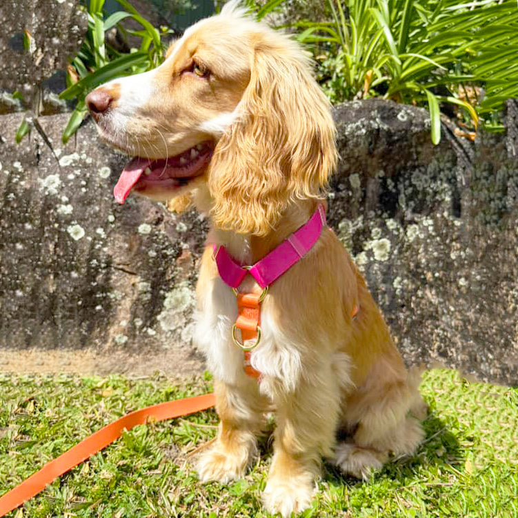 Sunset - Luxe Strap Harness