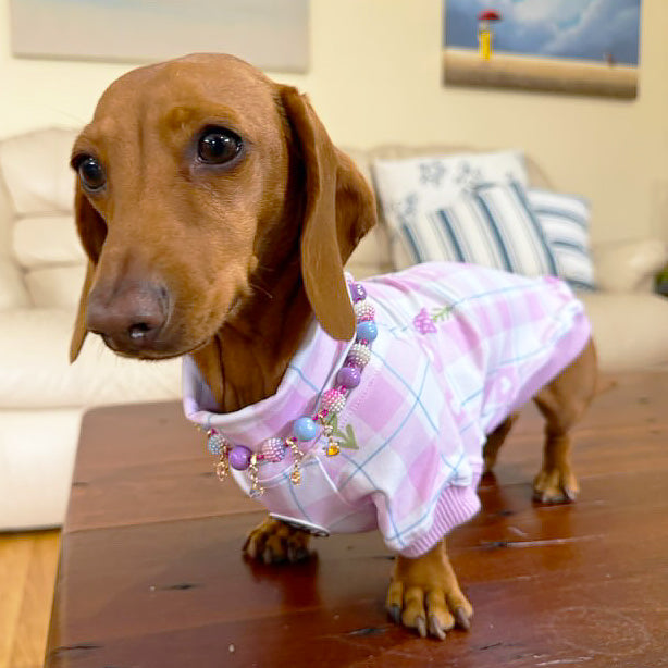 Luxe-Gingham Lavender Dream Dog Skivvy