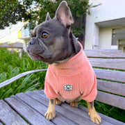Dusty Rose - Dog Skivvy