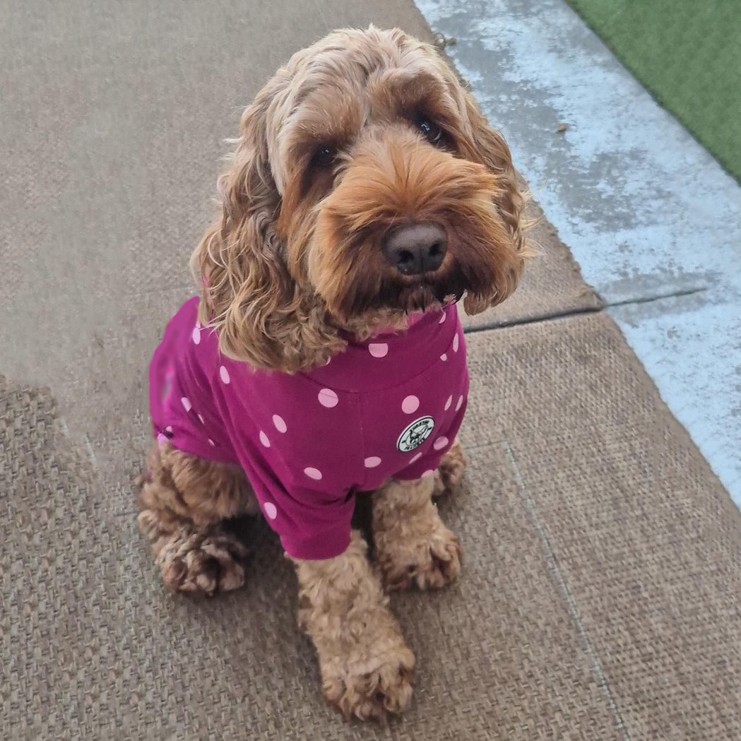 Burgandy with Pink Spots - Dog Skivvy