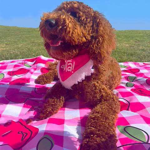 Cherry Delight - Large Picnic Mat!