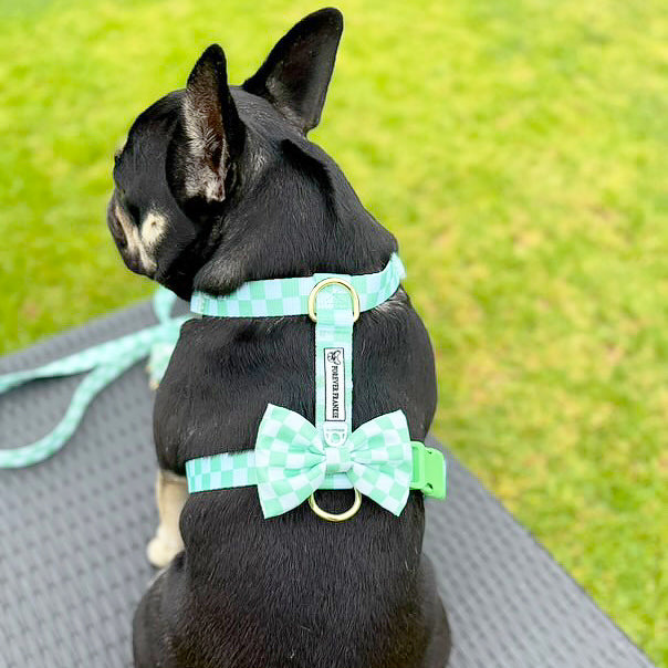 Green Check - Luxe Strap Harness