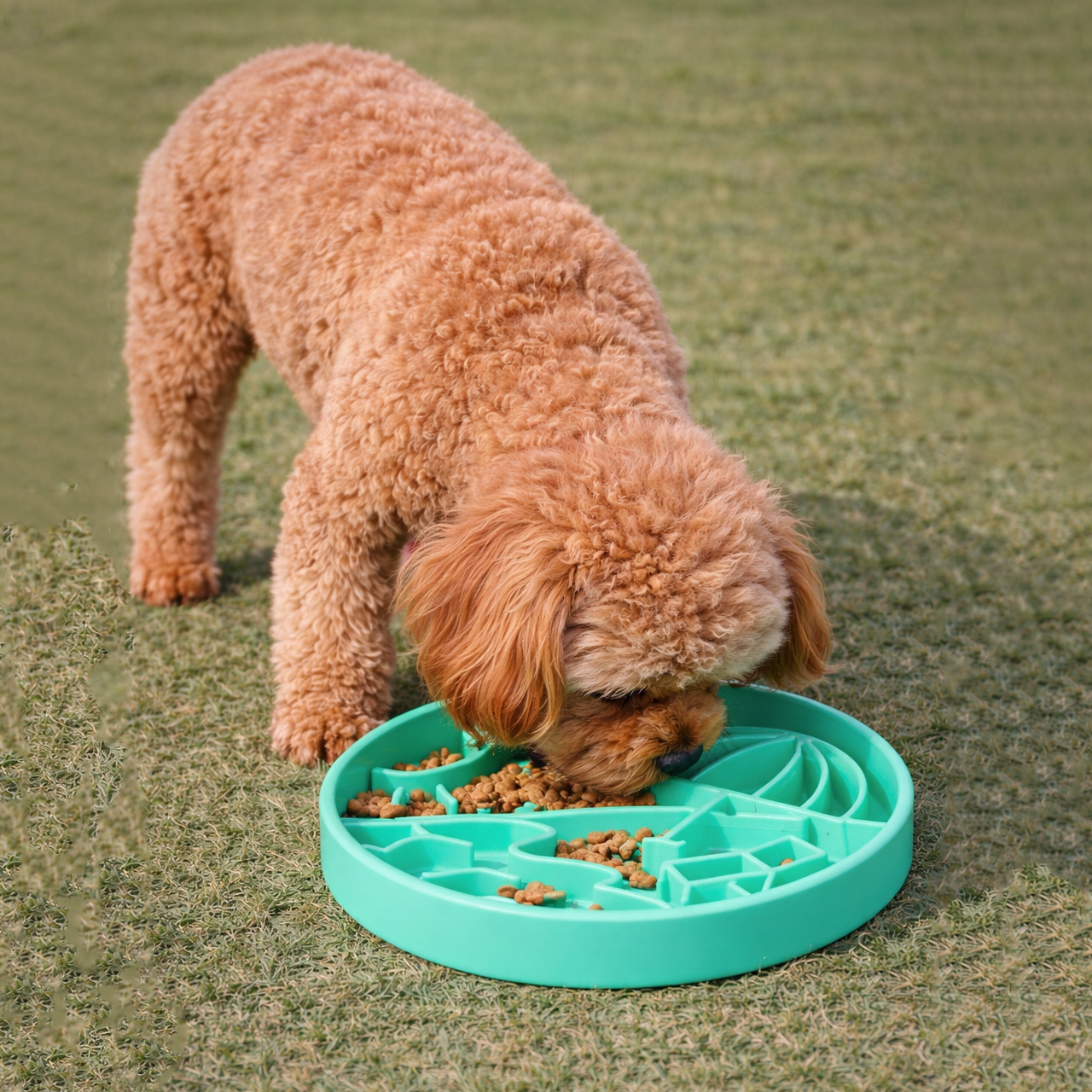 Luxe Seafoam Beach - Slow Feed Bowl