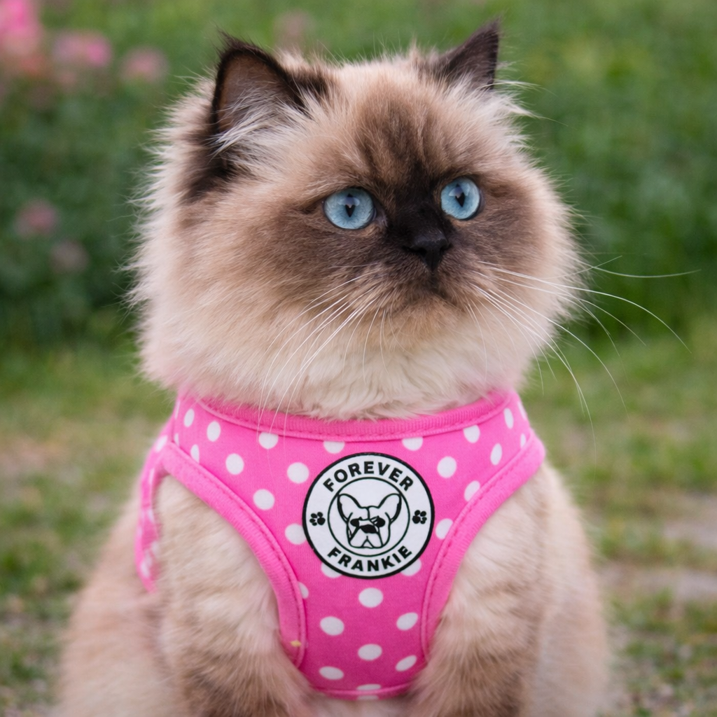 Classic Pink Spot - Step-in Harness