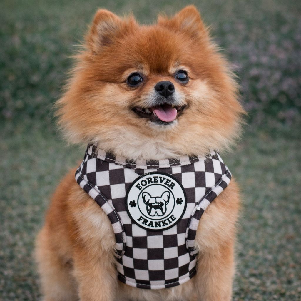 Cocoa Check - Step-in Harness