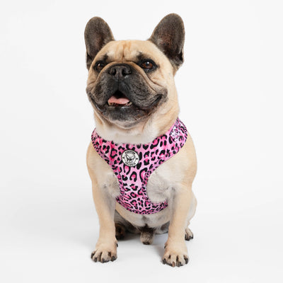 Pink Leopard - Adjustable Harness