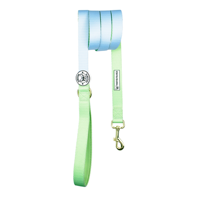 Ocean Dream - Luxe Dog Lead