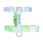 Ocean Dream - Luxe Strap Harness