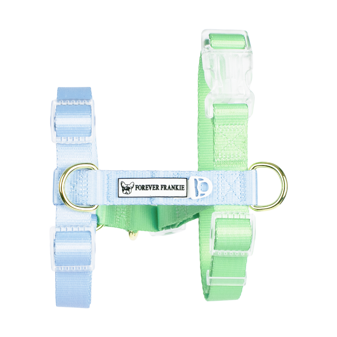 Ocean Dream - Luxe Strap Harness