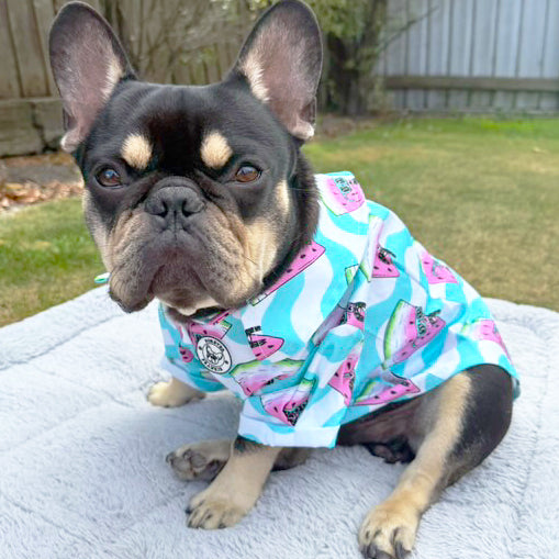 Watermelon - Party Shirt
