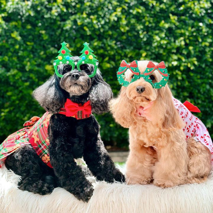 Gingerbread Dog Dress  (Limited Edition)