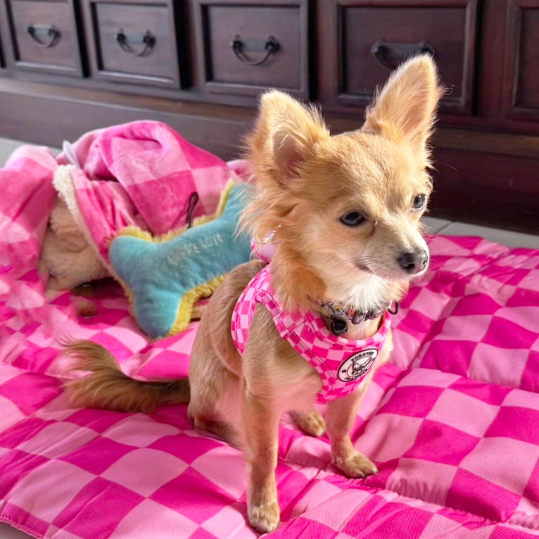Pink Lemonade - Step-in Harness