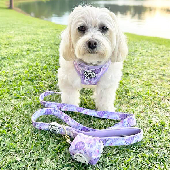 Violet Fields - Adjustable Harness