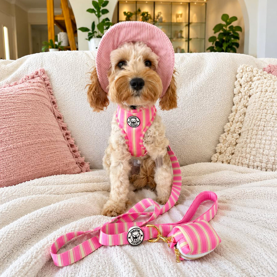 Strawberry Ripple  Stripe - Adjustable Harness