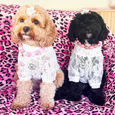 White Lace - Luxe Dog Skivvy