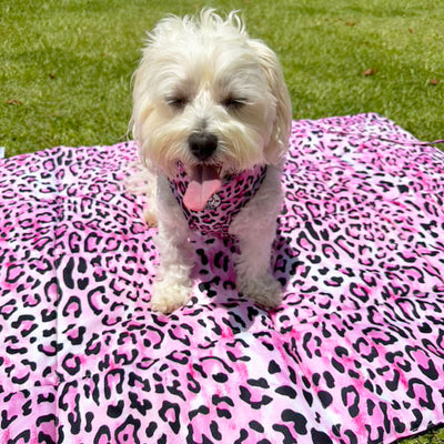 Pink Leopard - Adventure Mat